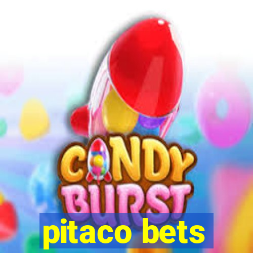 pitaco bets